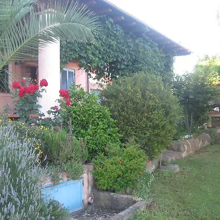 Casale Vecchio Olivo *